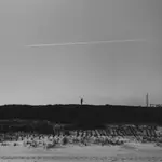 Człowiek