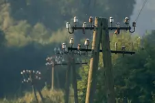 Słupy telefoniczne