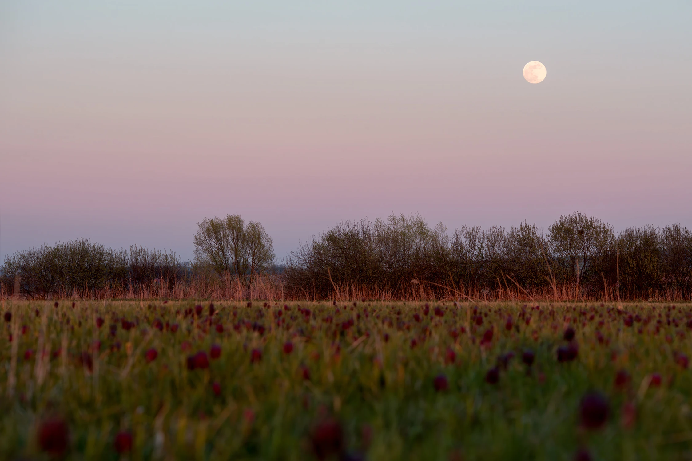 Na chwilę przed zmierzchem