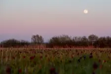 Na chwilę przed zmierzchem