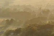 Brzyska