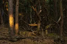 Witaj wędrowcze... Zapraszamy.