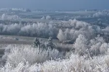 'Zaszadziony' pejzaż