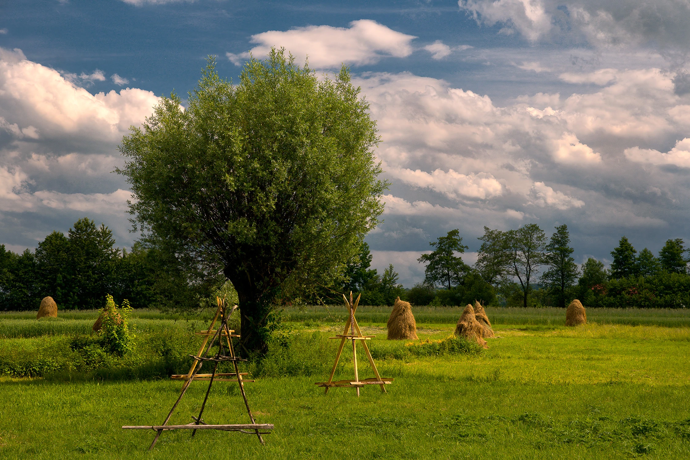 Czerwcowym popołudniem.