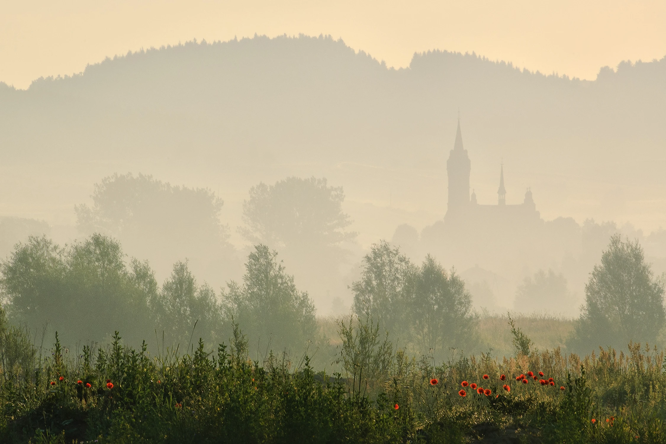 Kosciól w Kołaczycach