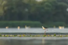 … Iść ciągle iść w stronę słońca.