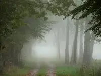 Jesienna mgła