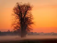 Cisza przed wschodem