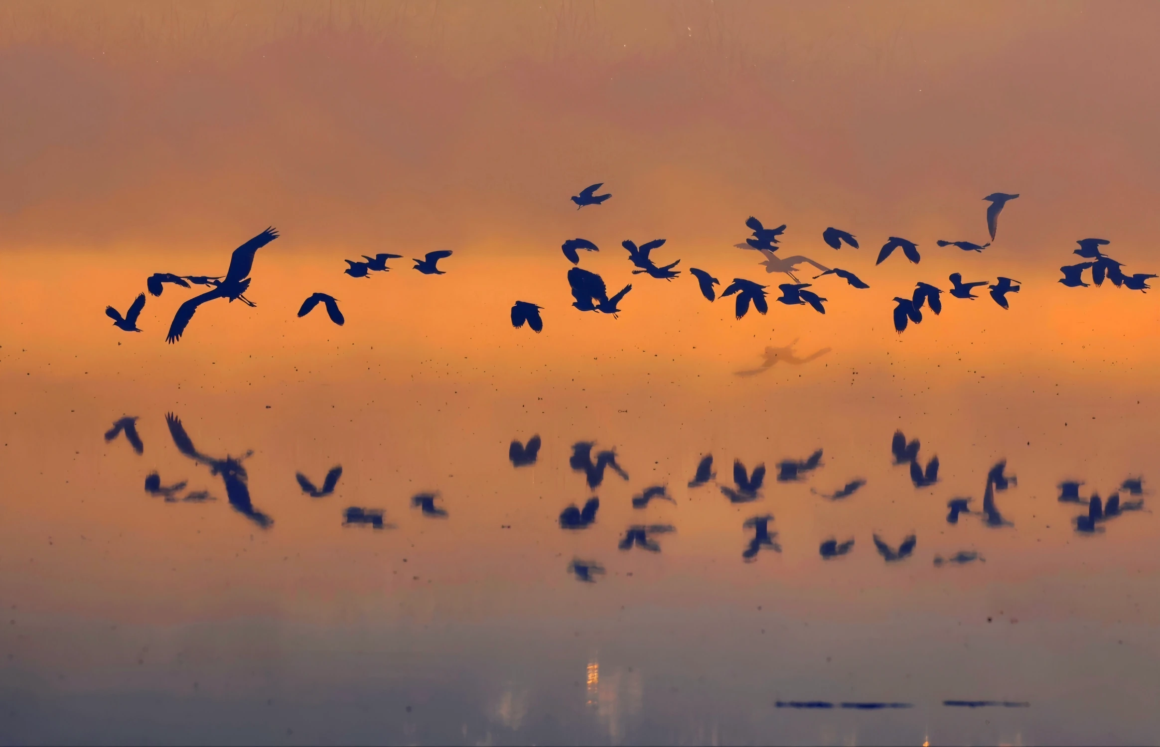 W lustrze
