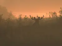 Nie ma mnie dla nikogo :)