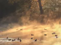 W poszukiwaniu śniadania