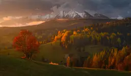 Zamagurze
