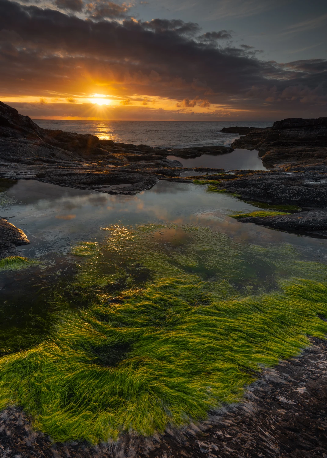 Bridges of Ross