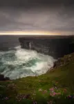 Loop Head