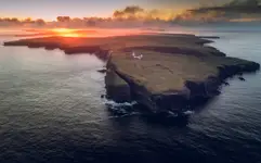 Loop Head