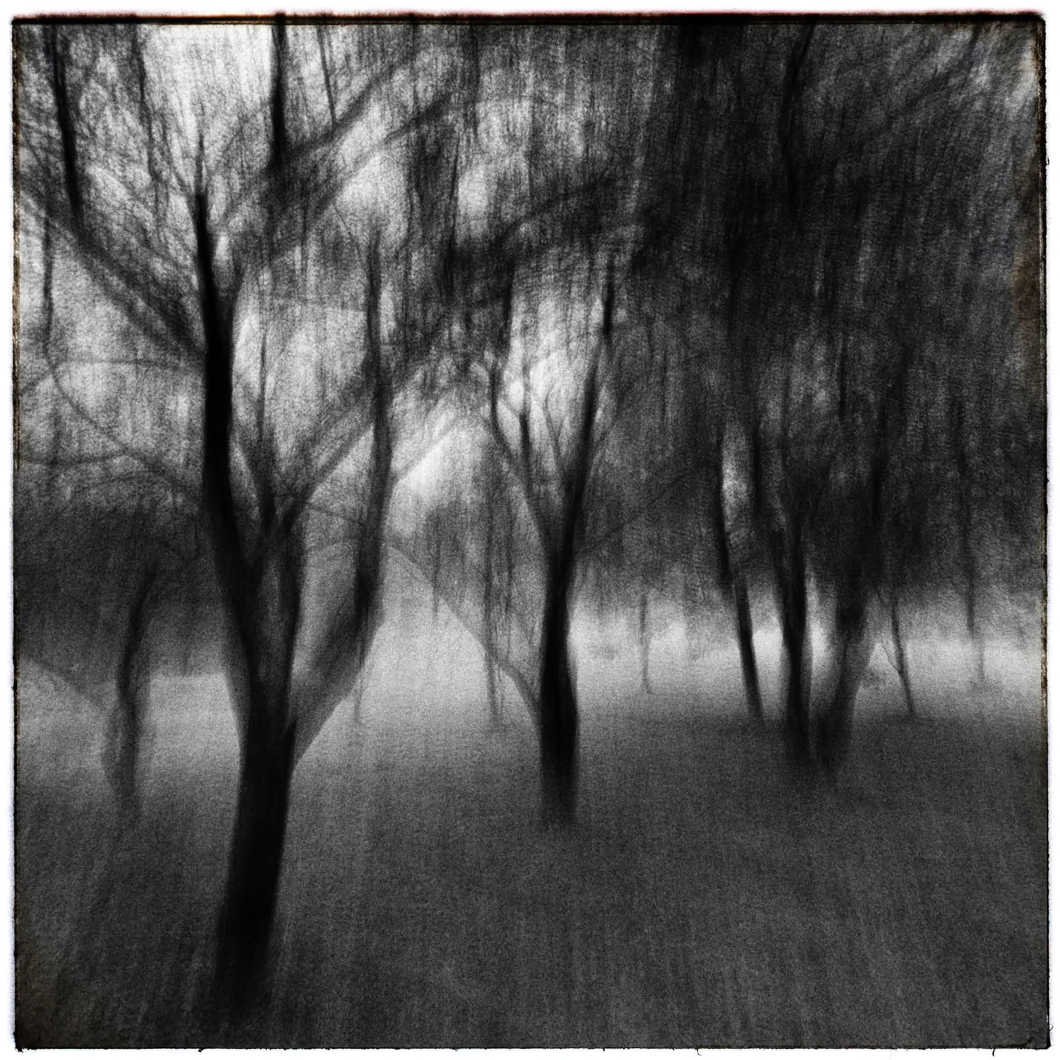 Szelesty