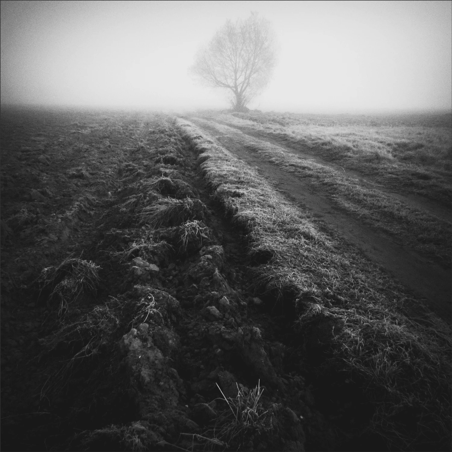 The Smell Of The Ground