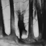 Portret na Klifie Orłowskim