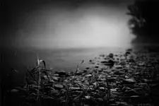 Tales From The San River