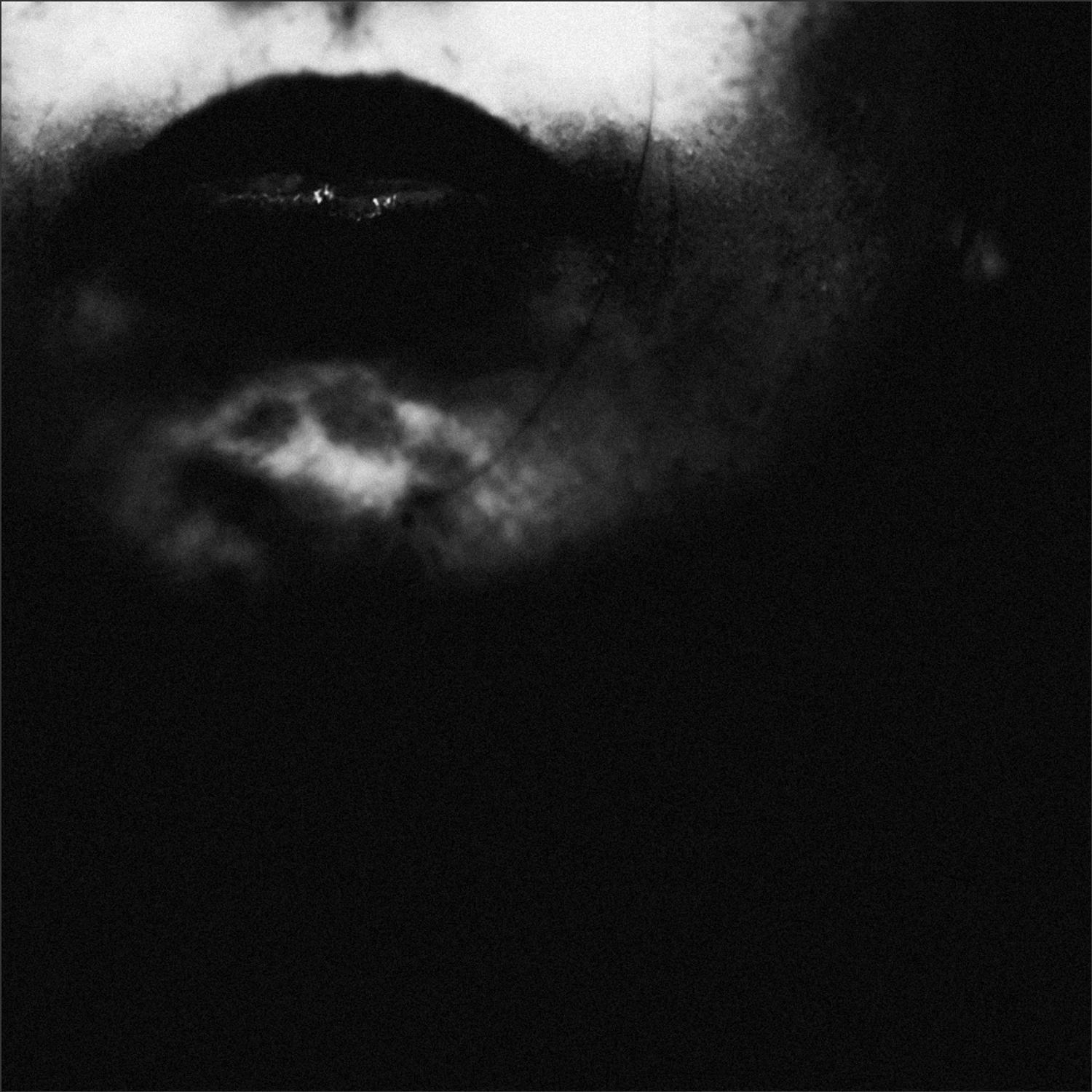 "Landscape Of Meaning"