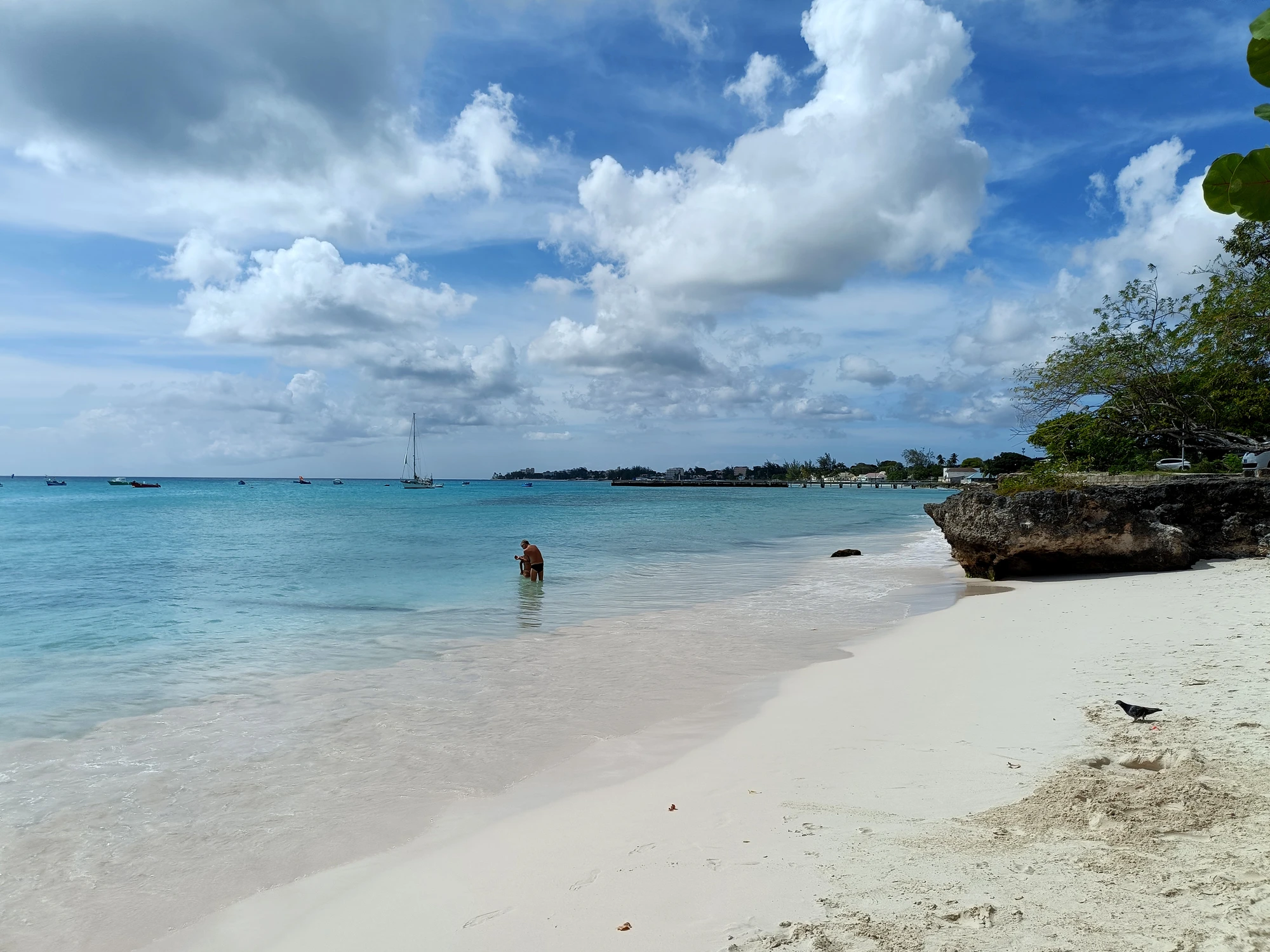 Podróże - Karaiby - Barbados