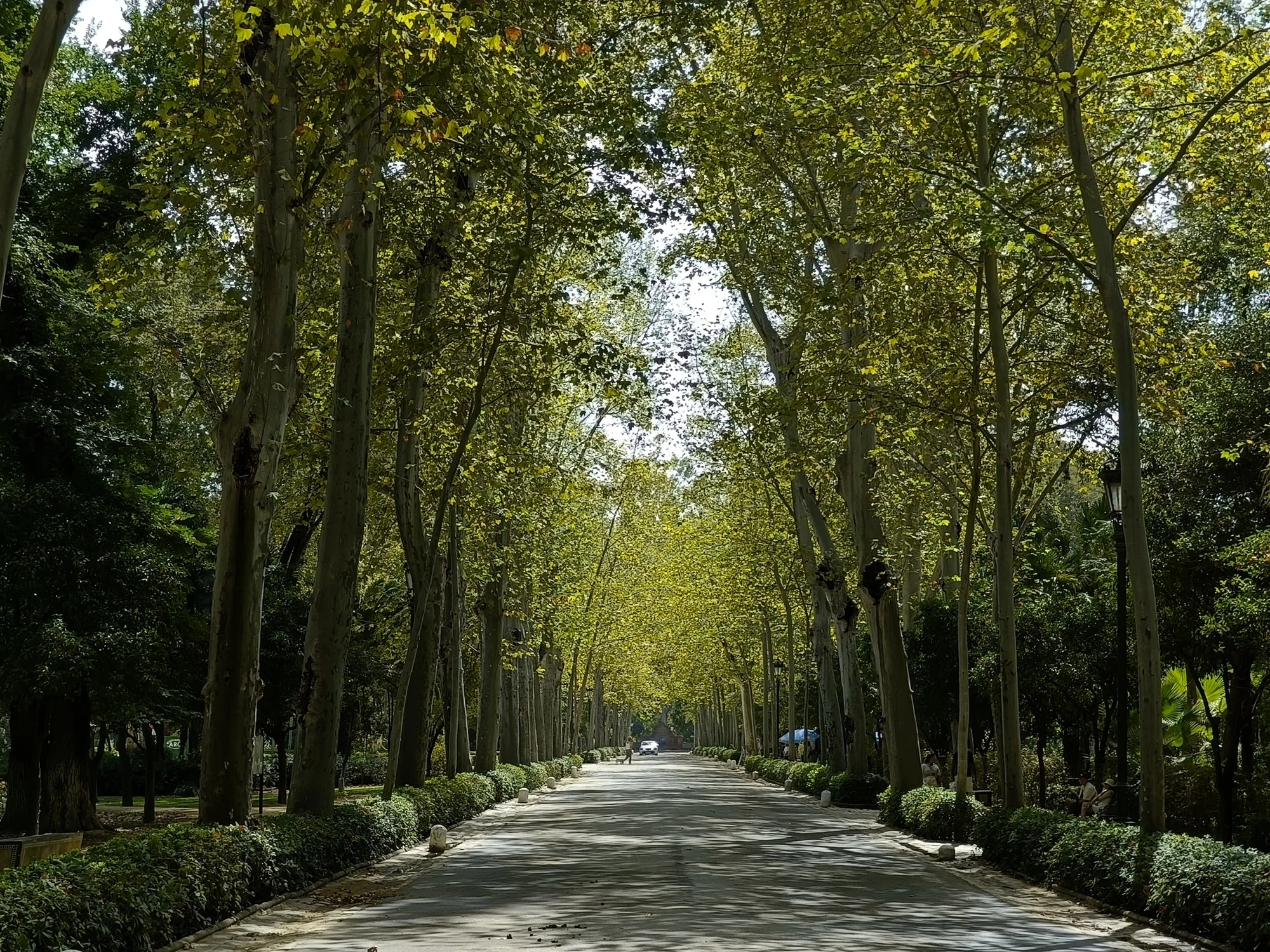 Podróże - Hiszpania - Sewilla 