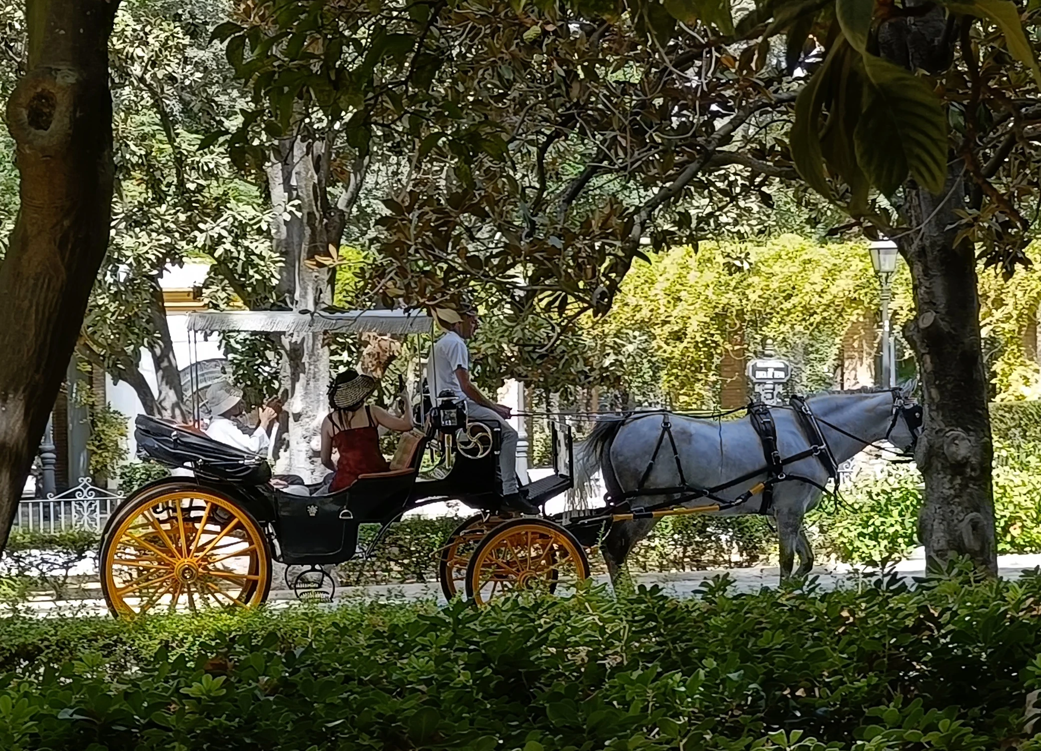  Podróże - Hiszpania - Sewilla 