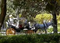  Podróże - Hiszpania - Sewilla 