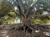 Podróże - Hiszpania - Sewilla