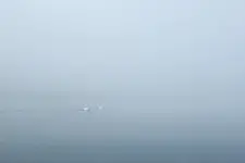 mgła
