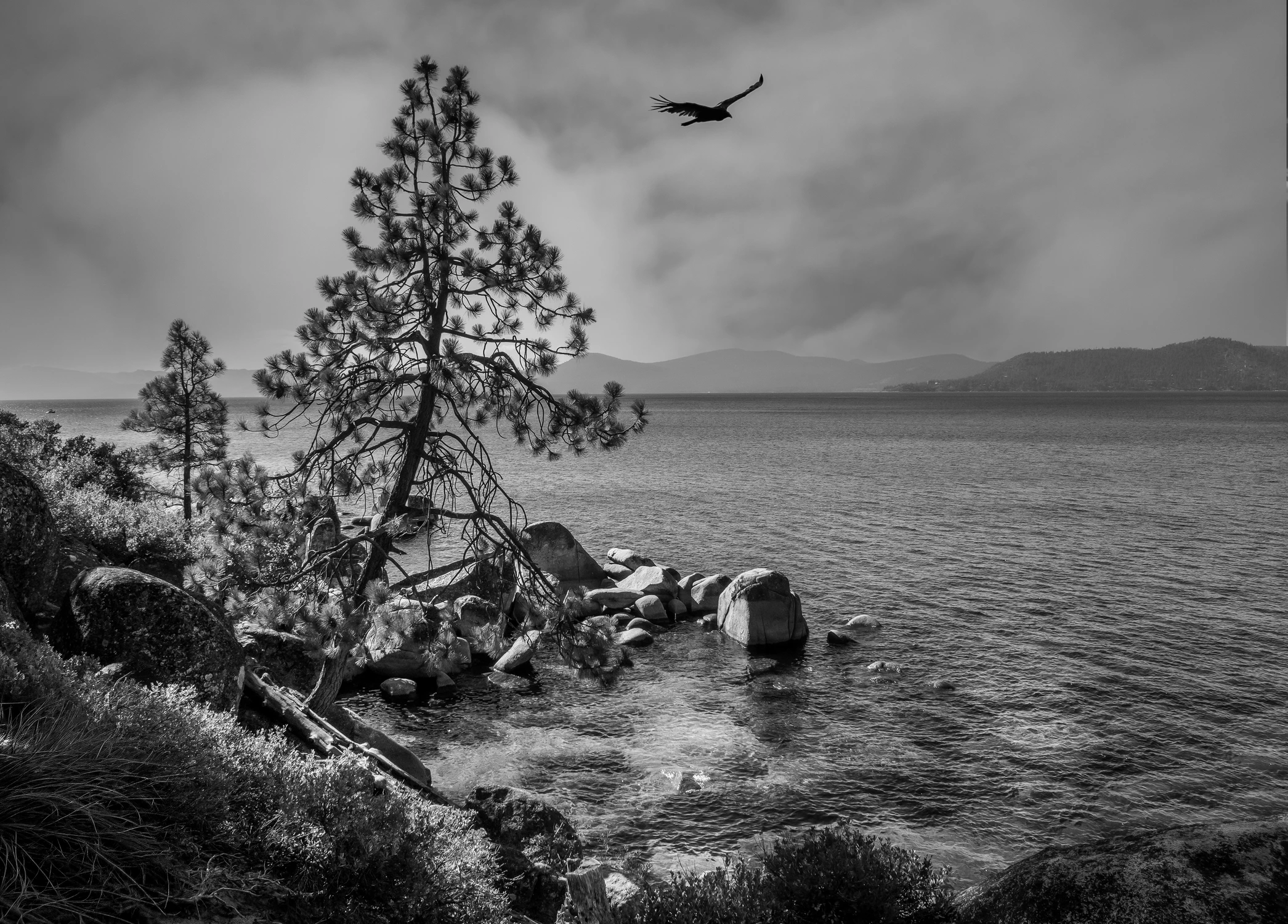 Lake Tahoe CA