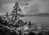 Lake Tahoe CA