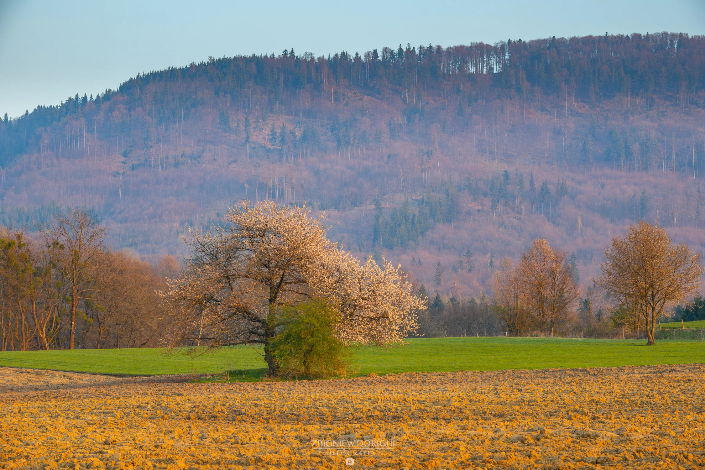 Wiosenny wiejski krajobraz