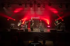 Koncert zespołu Pytki doś