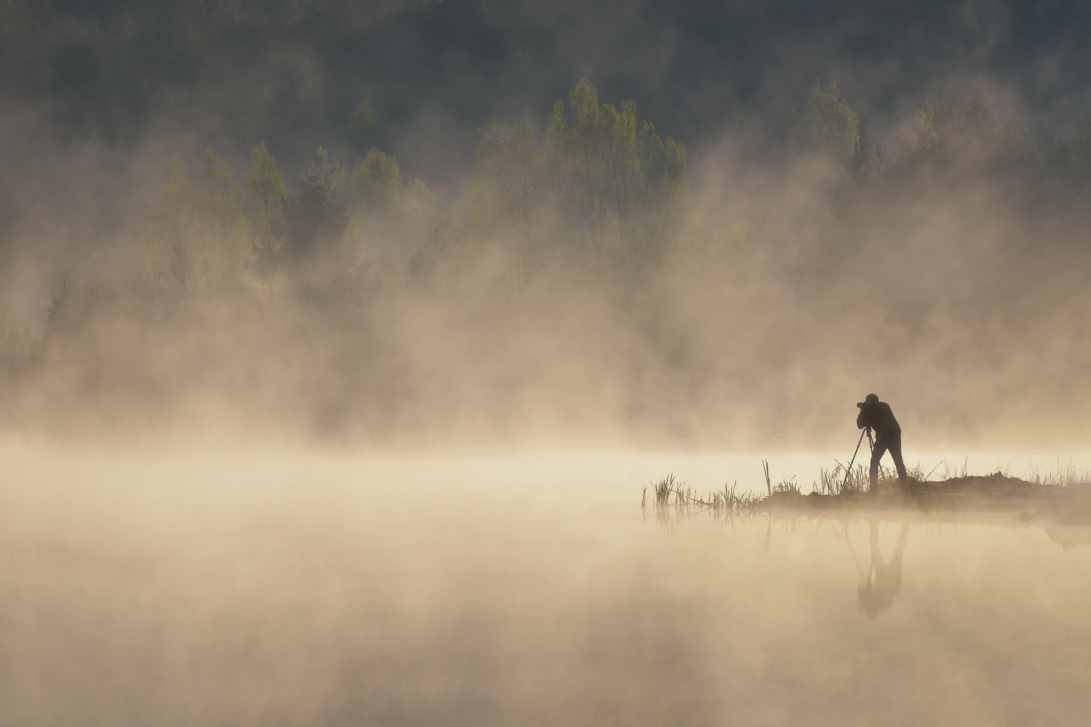 W objęciach mgły...