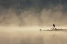 W objęciach mgły...