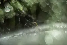 Władca światła...