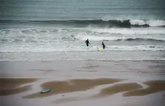 Pasja 