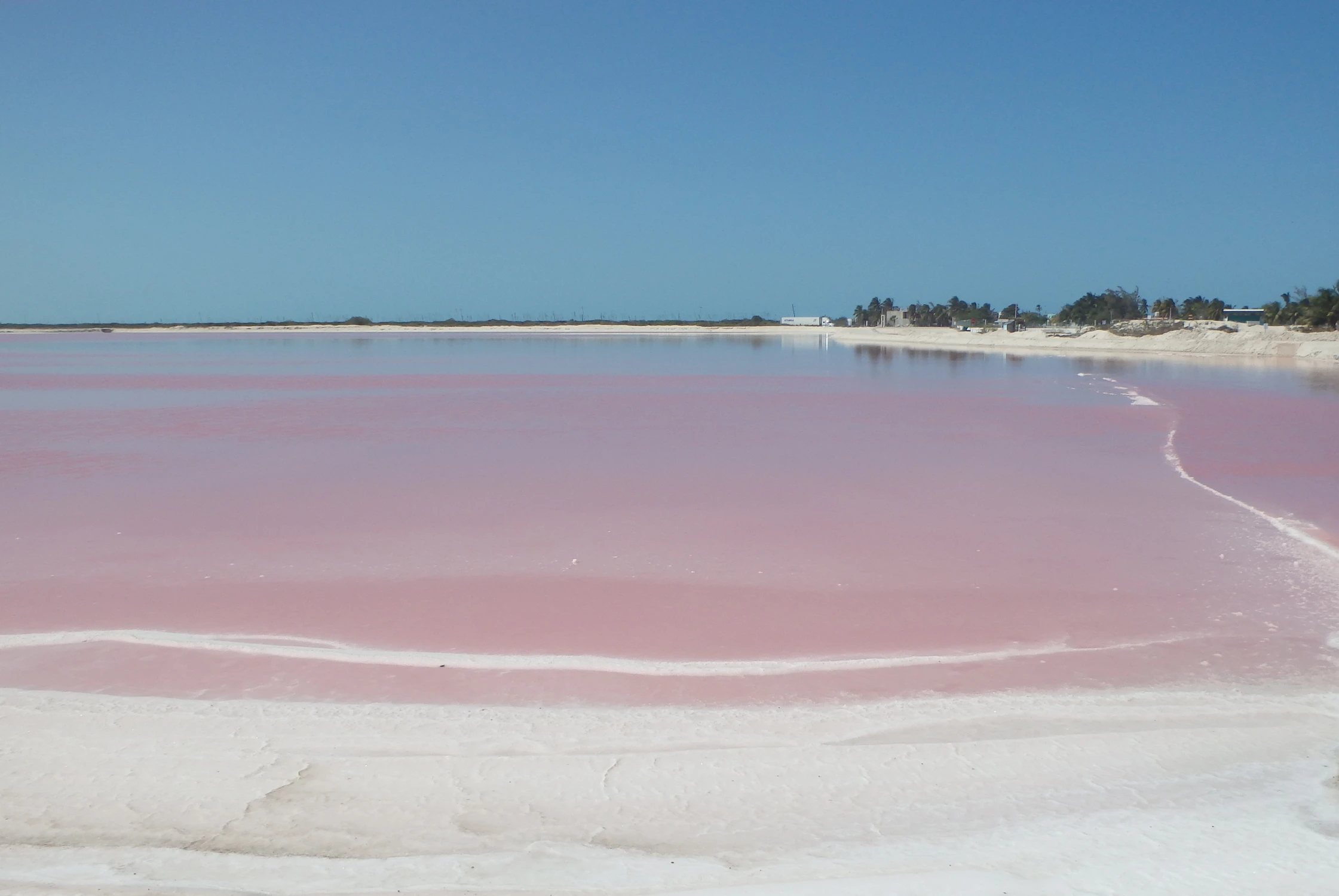 Nad różową wodą.