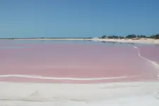 Nad różową wodą.