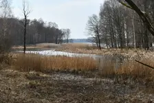 Niedługo się zazieleni.