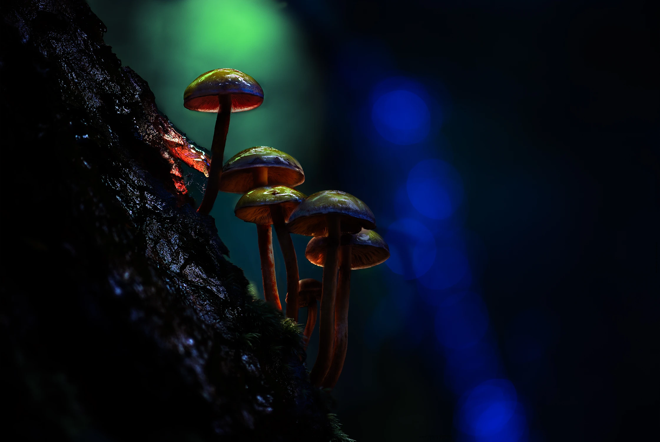 Glow