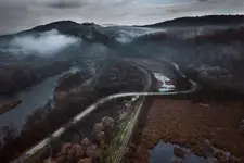 Z pamiętnika kanarka