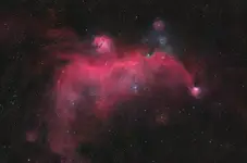 Kosmiczna Ornitologia