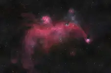 Kosmiczna Ornitologia