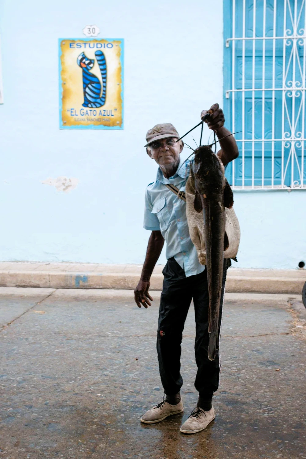 Catfish