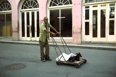 Jutro dzień psa