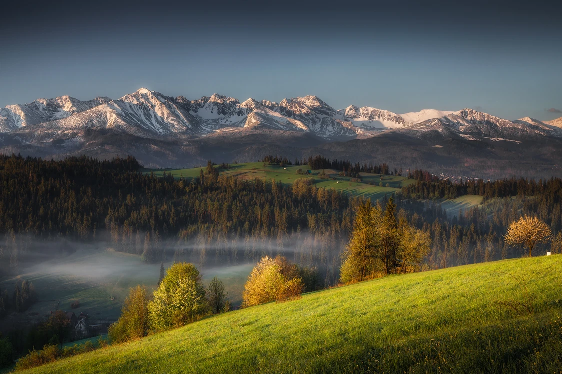 Marcin EF