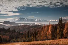 W Beskidzie Sądeckim