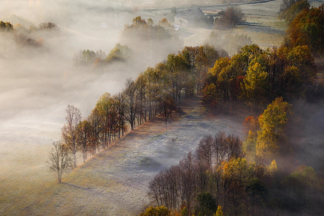 Marcin EF